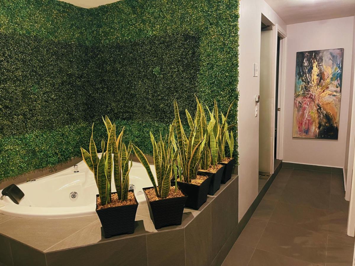 Suites Layfer, Cordoba, Veracruz, Mexico Екстер'єр фото